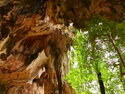 Cave and leaf Stock Footage