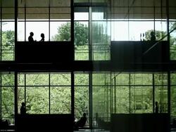 WS group of coworkers in discussion in open lobby in office building/Seattle, Washington, USA Stock Footage