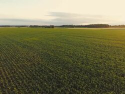 AERIAL Countryside At Sunset Stock Footage