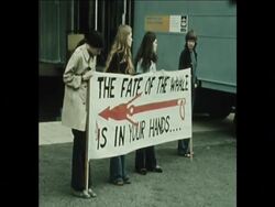 SYND 24 6 74 CONSERVATIONISTS PROTEST OUTSIDE THE INTERNATIONAL WHAILING CONFERENCE News Clip