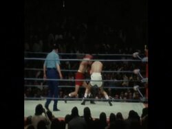 SYND 27-5-74 HERRERA RETAINS WORLD BANTAMVEIGHT BOXING TITLE BY BEATING ANAYA IN MEXICO CITY News Clip