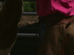 Slow tilt shot of a cowboy petting a skewbald horse Stock Footage