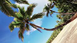 Beautiful beach Stock Footage