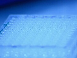 Scientist and bio lab experiment Stock Footage