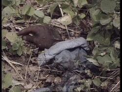 KOSOVO: FIGHTING CONTINUES BETWEEN SERB FORCES &amp;amp; KLA News Clip