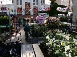 New York's Rockefeller Center Prepares For Easter Holiday Stock Footage