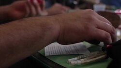 CLEAN : Spanish cannabis users light up for Canutos Day News Clip