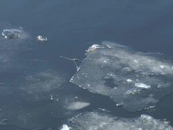 Ice on the water. Stock Footage