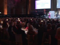 The 9th Annual Avon Foundation for Women Gala Stock Footage