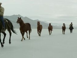 Horses running with cowboys riding across salt flats. Stock Footage