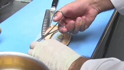 VOICED : Doha French restaurant draws crowds despite being alcohol free News Clip