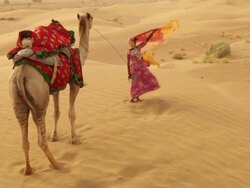 Rajasthani woman standing on desert, Sam Desert, Jaisalmer, Rajasthan, India Stock Footage