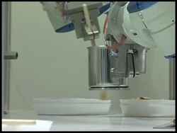 Robots to take care of people from the cradle to the grave News Clip