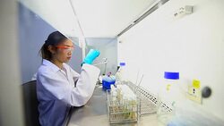 Biofuel - Biology Lab Stock Footage