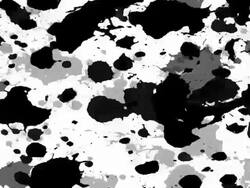 SPLATTER : bilateral - LOOP Stock Footage