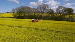 Rapeseed Spraying Stock Footage