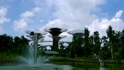 4K Time-lapse garden by the bay Stock Footage