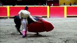 CLEAN : Botero protege bullfighter returns home News Clip