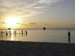 Sunset Isla Mujeres Stock Footage