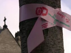 Breast Cancer 3-Day Race for the Cure Stock Footage