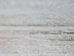 CU PAN Shot of single plain egg / London, United Kingdom  Stock Footage