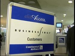 Stowaway cat on first class flight back home to Wisconsin Instructional Video