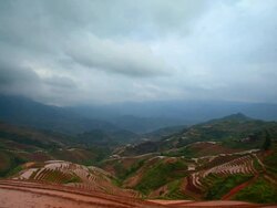Longji Terraced Fields Stock Footage