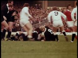 RUGBY - ENGLAND V NEW ZEALAND News Clip