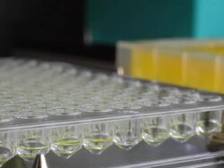 Multichannel liquid dispensing robot Stock Footage