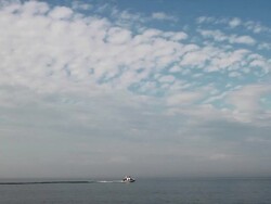 HD: Zodiac Stock Footage