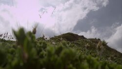 Mountainbiker jumping over some rocks Stock Footage
