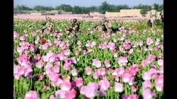 James Stavridis: A Navy Admiral's thoughts on global security Instructional Video