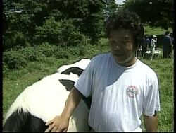 JAPAN: MIYAKEJIMA: VOLCANO ERUPTION Instructional Video