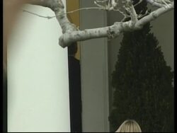 USA: GEORGE W BUSH &amp; BILL CLINTON News Clip