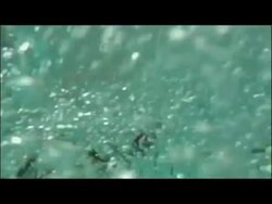  Natalie Du Toit Training Ahead of Beijing 2008  News Clip