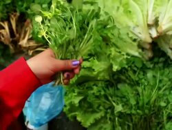 CU Shot of woman hands tying bunch of green vegetables together / Luang Prabang, Laos Stock Footage