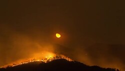 Forest fires. Stock Footage