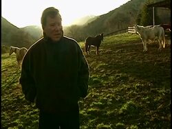 Interview with William Shatner Stock Footage