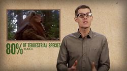 How Many Trees Are There? Instructional Video