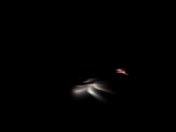 floral ornaments Stock Footage