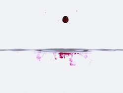 CU SLO MO Shot of Drop of Red Ink falling into Water against White background / Calvados, Normandy, France Stock Footage