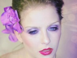 Orchid Stock Footage