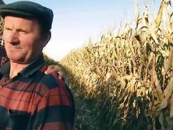 HD SLOW MOTION: Farmer Holding Child In Corn Field Stock Footage