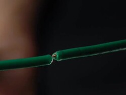 Cut the Wire HD 720p30 Stock Footage