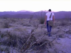 WS, SELECTIVE FOCUS, Rear view of man walking through desert, focus on shrubs in foreground, near San Diego, California, USA Stock Footage