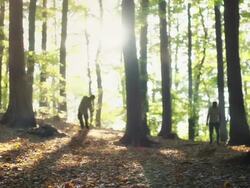 zombies are coming Stock Footage