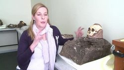 CLEAN: South African scientists discover new early human remains News Clip