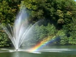 HD: Rainbow Stock Footage