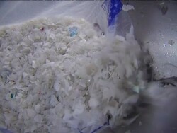 Recycled Pets Stock Footage