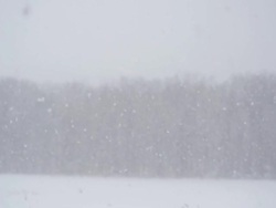 Snowy background Stock Footage